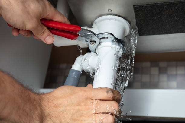 Best Carpet water damage restoration  in Hortonville, WI