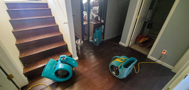 Best Local water damage restoration  in Hortonville, WI