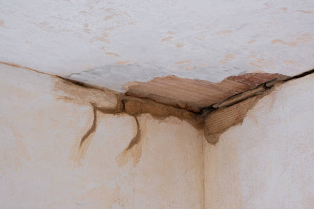 Best Fire Damage Restoration  in Hortonville, WI