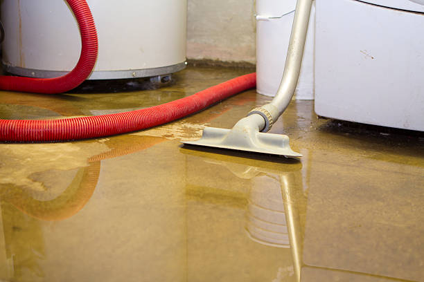 Best Commercial water damage restoration  in Hortonville, WI