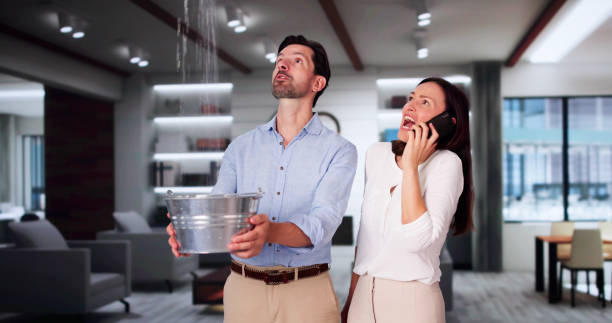 Best Water damage restoration near me  in Hortonville, WI