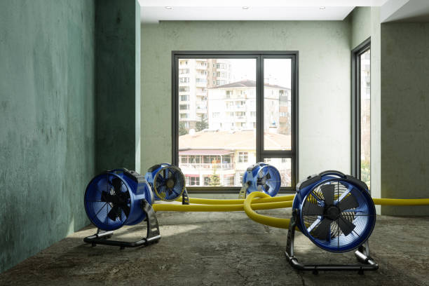 Best Water damage restoration insurance claims  in Hortonville, WI